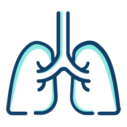 Radiologjia
